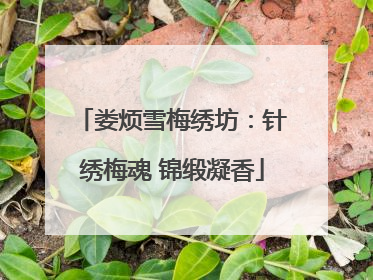娄烦雪梅绣坊：针绣梅魂 锦缎凝香