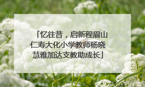 忆往昔，启新程眉山仁寿大化小学教师杨晓慧雅加达支教助成长