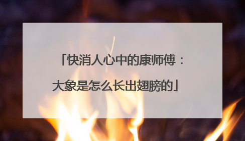 快消人心中的康师傅：大象是怎么长出翅膀的