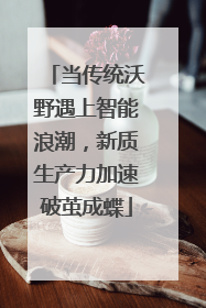 当传统沃野遇上智能浪潮，新质生产力加速破茧成蝶