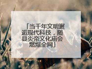当千年文明邂逅现代科技，随县炎帝文化庙会燃爆全网
