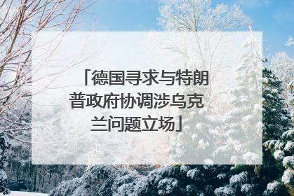 德国寻求与特朗普政府协调涉乌克兰问题立场