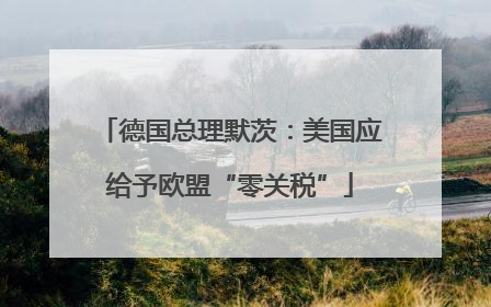 德国总理默茨：美国应给予欧盟“零关税”