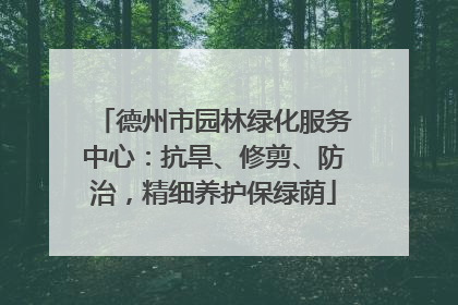 德州市园林绿化服务中心：抗旱、修剪、防治，精细养护保绿荫