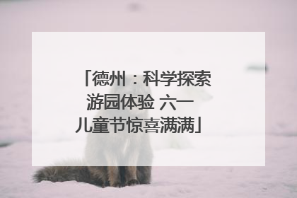 德州：科学探索 游园体验 六一儿童节惊喜满满