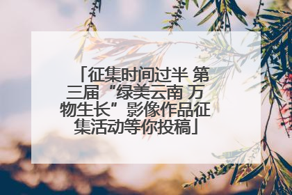 征集时间过半 第三届“绿美云南 万物生长”影像作品征集活动等你投稿