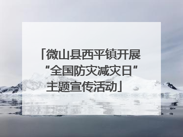 微山县西平镇开展“全国防灾减灾日”主题宣传活动