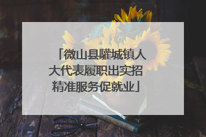 微山县驩城镇人大代表履职出实招精准服务促就业