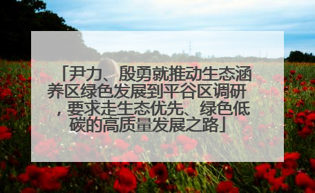 尹力、殷勇就推动生态涵养区绿色发展到平谷区调研，要求走生态优先、绿色低碳的高质量发展之路