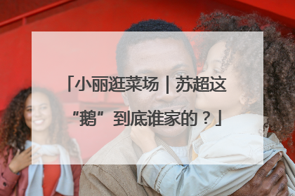小丽逛菜场｜苏超这“鹅”到底谁家的？