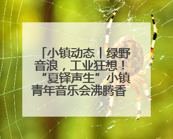 小镇动态丨绿野音浪，工业狂想！“夏铎声生”小镇青年音乐会沸腾香山竹海