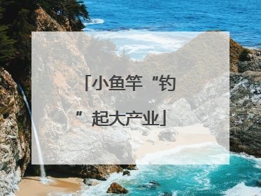 小鱼竿“钓”起大产业
