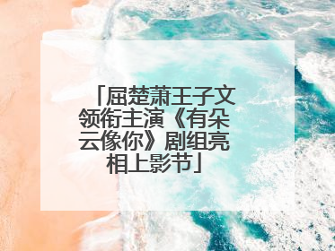 屈楚萧王子文领衔主演《有朵云像你》剧组亮相上影节