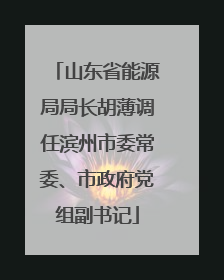 山东省能源局局长胡薄调任滨州市委常委、市政府党组副书记
