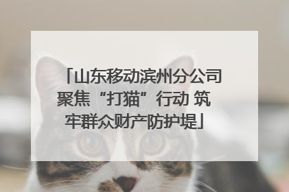 山东移动滨州分公司聚焦“打猫”行动 筑牢群众财产防护堤