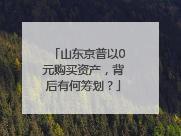山东京普以0元购买资产，背后有何筹划？