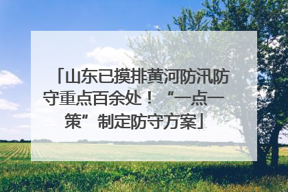 山东已摸排黄河防汛防守重点百余处！“一点一策”制定防守方案