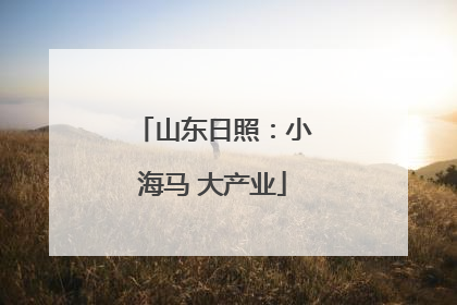 山东日照：小海马 大产业