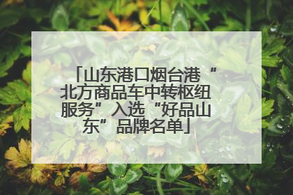 山东港口烟台港“北方商品车中转枢纽服务”入选“好品山东”品牌名单