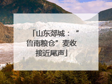 山东郯城：“鲁南粮仓”麦收接近尾声