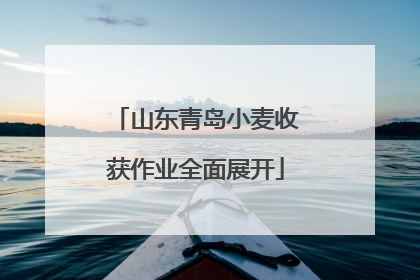 山东青岛小麦收获作业全面展开