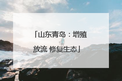 山东青岛：增殖放流 修复生态