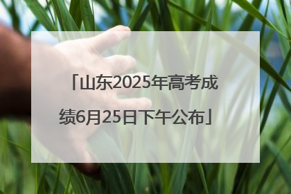 山东2025年高考成绩6月25日下午公布