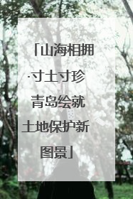 山海相拥·寸土寸珍 青岛绘就土地保护新图景