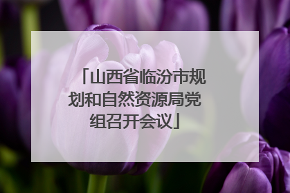 山西省临汾市规划和自然资源局党组召开会议