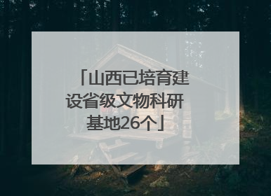 山西已培育建设省级文物科研基地26个