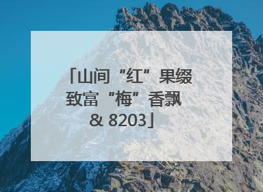 山间“红”果缀 致富“梅”香飘& 8203