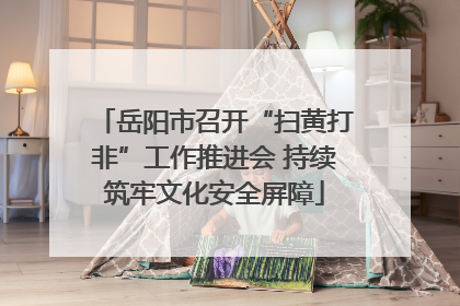 岳阳市召开“扫黄打非”工作推进会 持续筑牢文化安全屏障