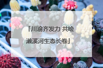 川渝齐发力 共绘濑溪河生态长卷