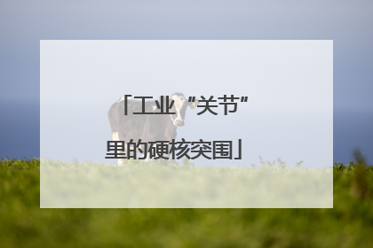 工业“关节”里的硬核突围