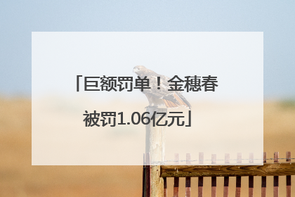 巨额罚单！金穗春被罚1.06亿元