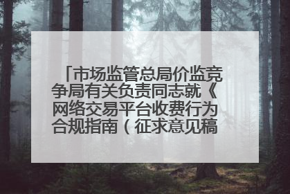市场监管总局价监竞争局有关负责同志就《网络交易平台收费行为合规指南（征求意见稿）》答记者问