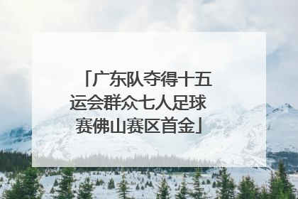 广东队夺得十五运会群众七人足球赛佛山赛区首金