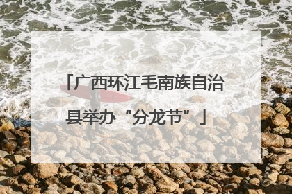 广西环江毛南族自治县举办“分龙节”