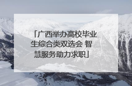 广西举办高校毕业生综合类双选会 智慧服务助力求职