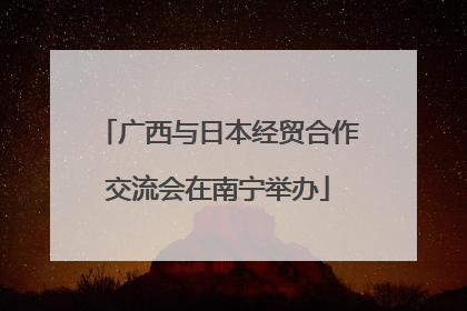 广西与日本经贸合作交流会在南宁举办