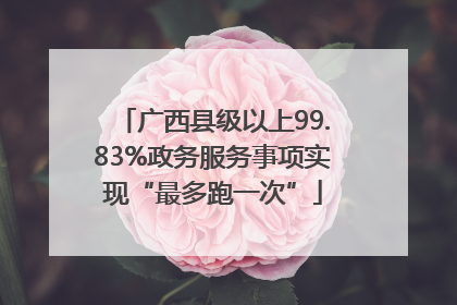 广西县级以上99.83%政务服务事项实现“最多跑一次”