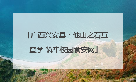 广西兴安县：他山之石互查学 筑牢校园食安网