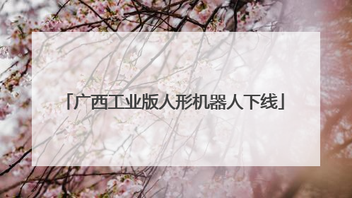 广西工业版人形机器人下线