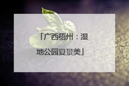 广西梧州：湿地公园夏景美