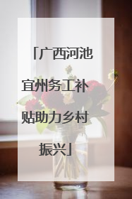 广西河池宜州务工补贴助力乡村振兴