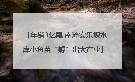 年销3亿尾 南漳安乐堰水库小鱼苗“孵”出大产业