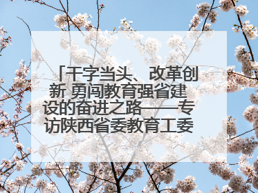干字当头、改革创新 勇闯教育强省建设的奋进之路——专访陕西省委教育工委书记、省教育厅厅长王树声