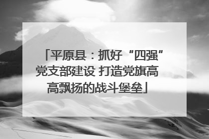 平原县：抓好“四强”党支部建设 打造党旗高高飘扬的战斗堡垒