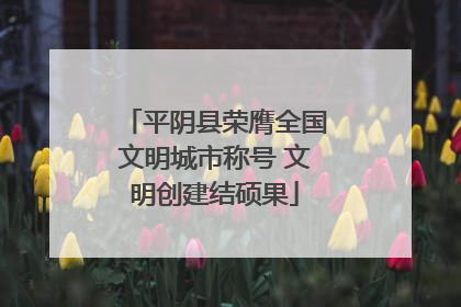 平阴县荣膺全国文明城市称号 文明创建结硕果