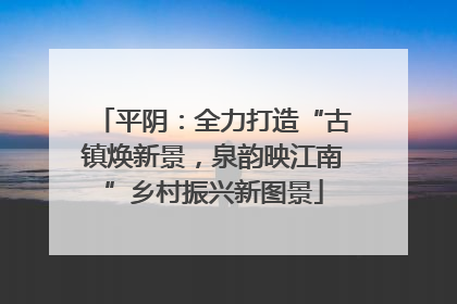 平阴：全力打造“古镇焕新景，泉韵映江南”乡村振兴新图景